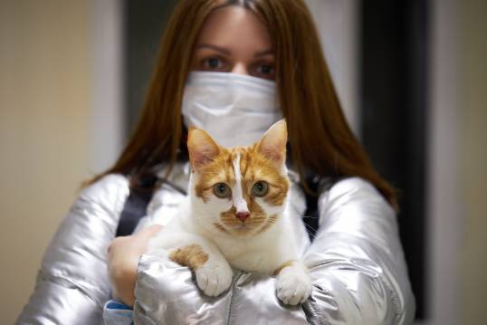 Pet Diagnostic Care